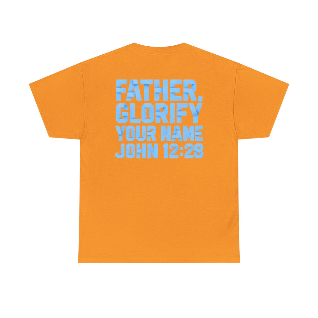 PNP TEE (light blue logo)